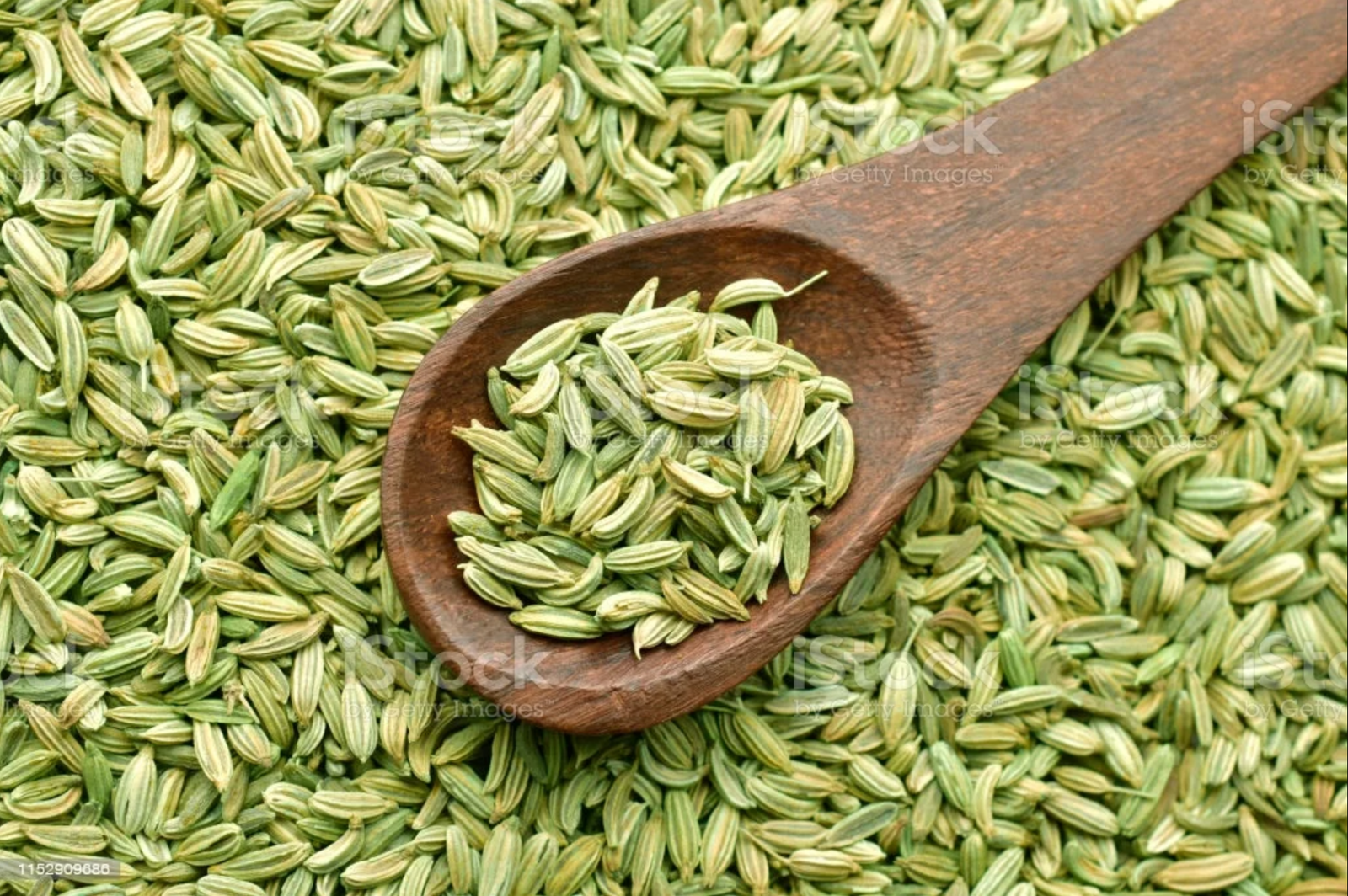Fennel Seeds